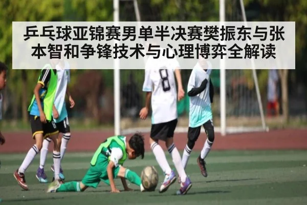 乒乓球亚锦赛男单半决赛樊振东与张本智和争锋技术与心理博弈全解读
